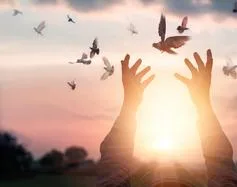 今日热点 - hthdabao